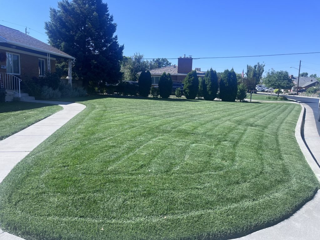 Professional residential lawn mowing Seattle results